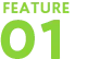 Feature 01